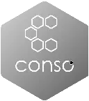 Logo de l'application Conso de la société Ressources Consultants Finances