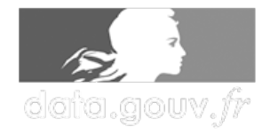 Logo du site officiel data-gouv.fr