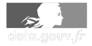 Logo du site officiel data-gouv.fr